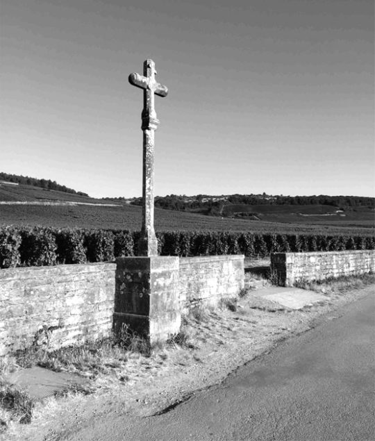 Legendary Domaine de la Romanée-Conti, the cross in the vineyard ©Baghera/wines