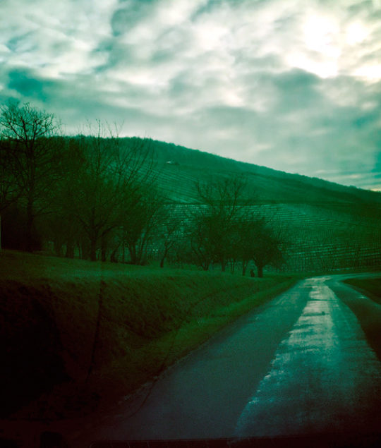 The Heritage | A day at Vosne-Romanée with Monsieur Jayer ©Baghera/wines