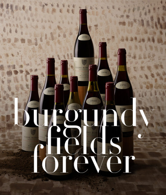 “Burgundy fields forever” — room auction by Bagherawines, june 20, 2021