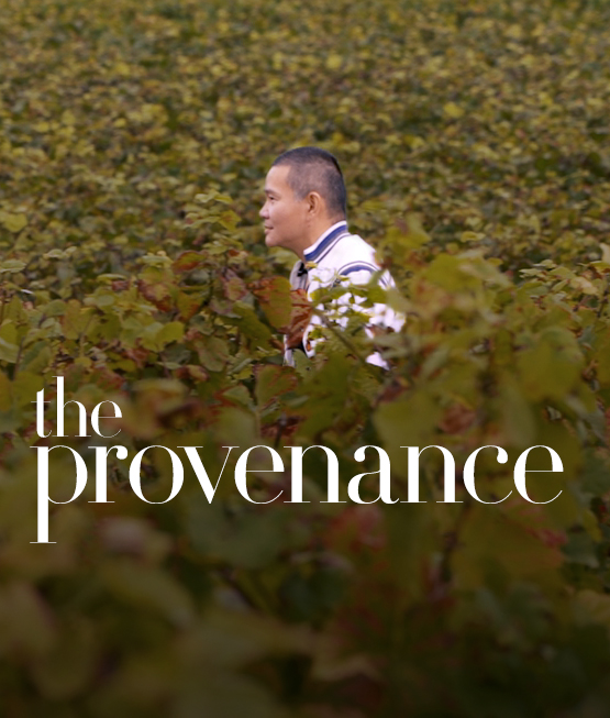Mr. Alberto Lee in the vines. "The Provenance", room auction December 5th 2021, Beau-Rivage Hotel Geneva
