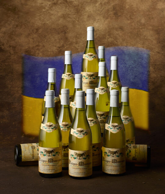 "Wine for peace", a charity sale for humanitarian aid in Ukraine