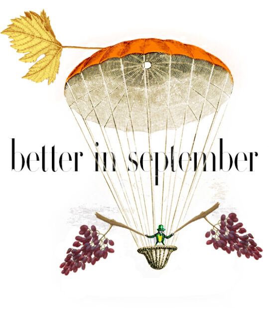 Better in September wine o'clock Baghera/Wines